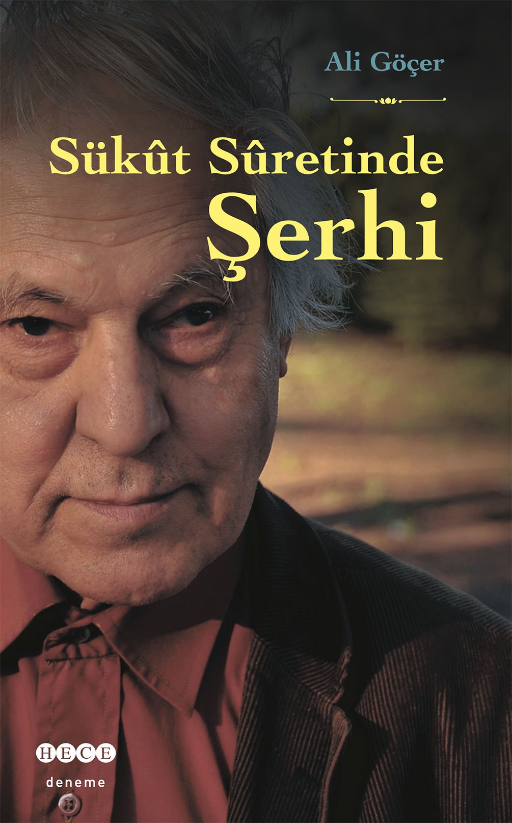 Sükût Sûretinde Şerhi