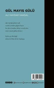 Gül Mayıs Gülü