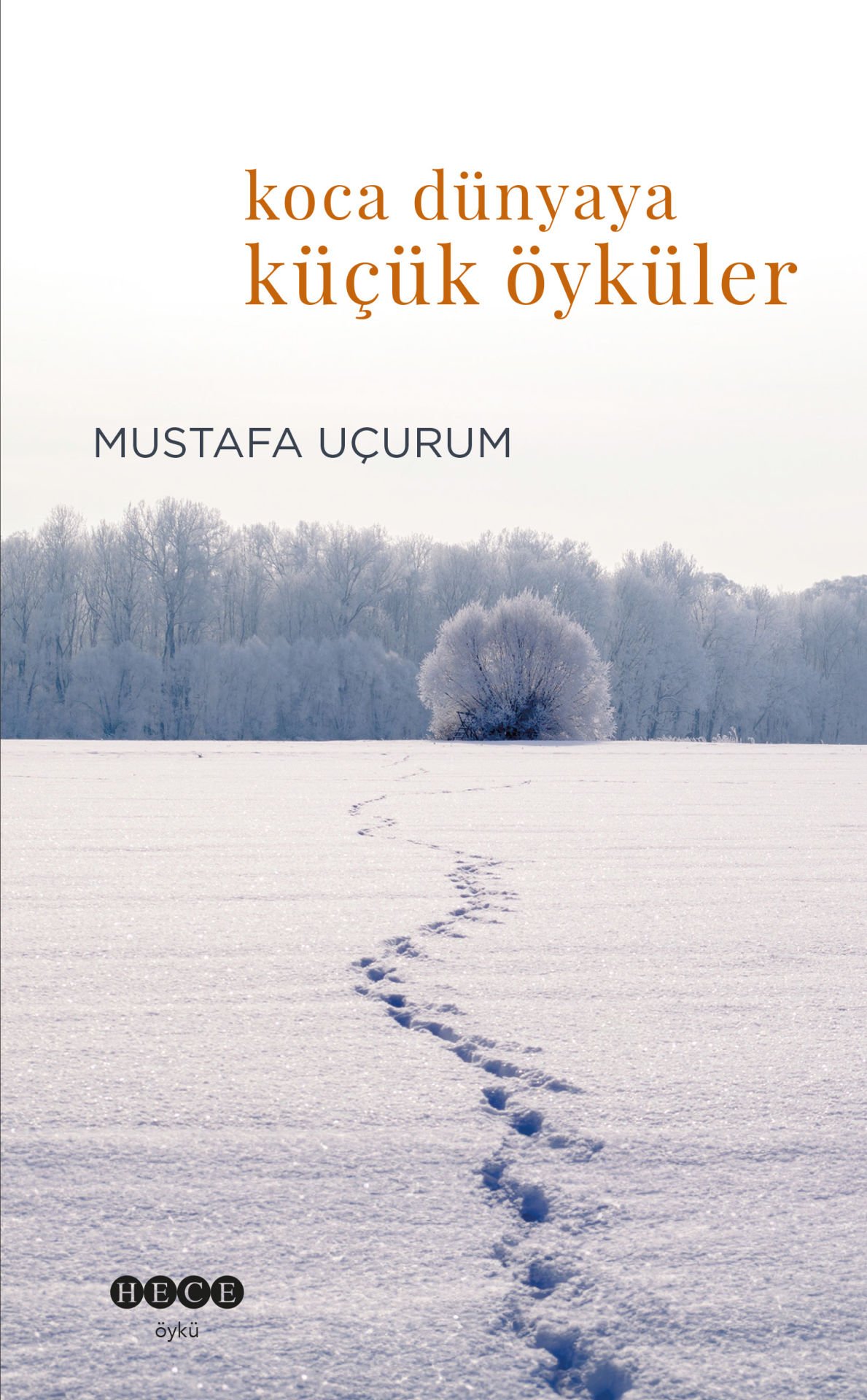 Koca Dünyaya Küçük Öyküler